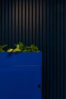 Emmanuelle CHENEVIER - L'EFFET CAFÉINE